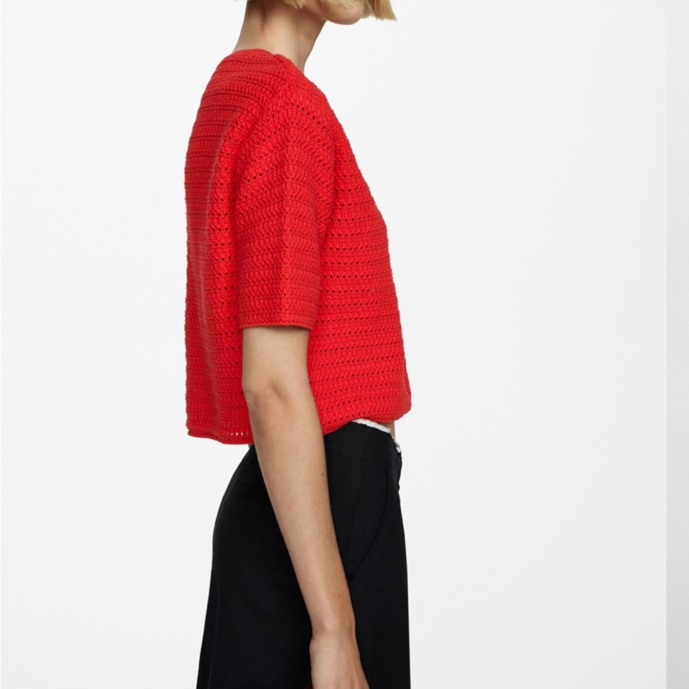 Red Cropped Knit Top - Picture 2 of 4
